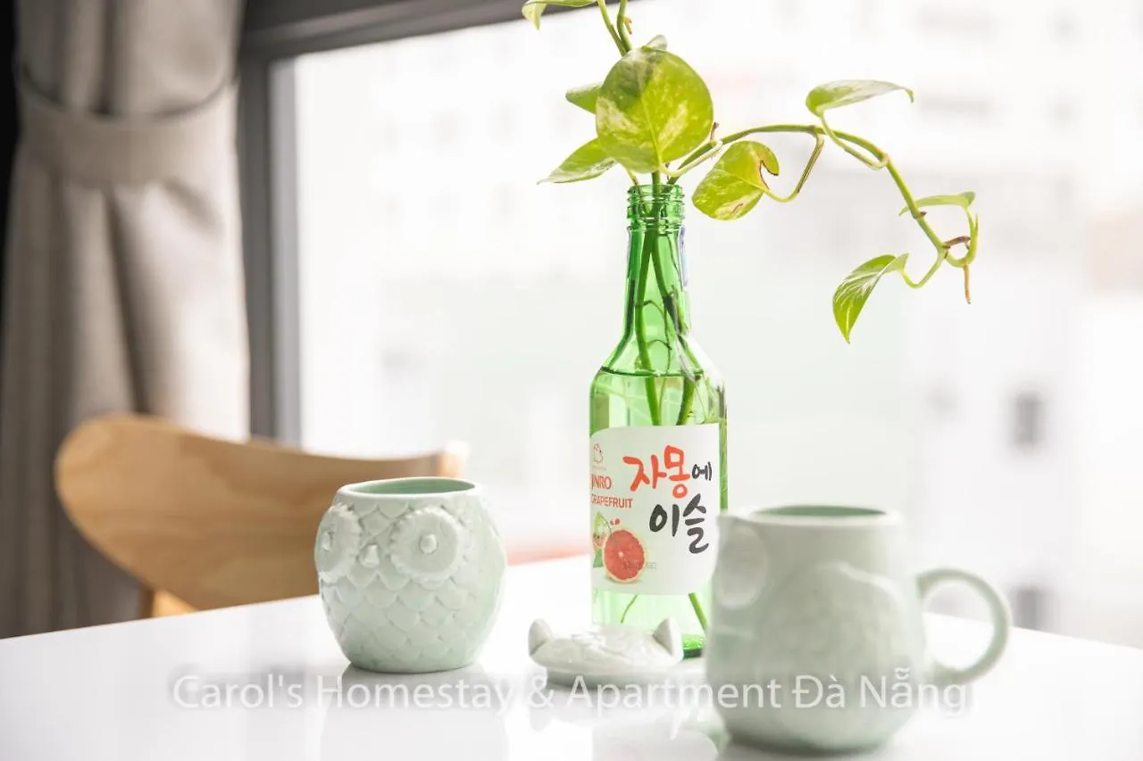 Carol Homestay & Apartment Da Nang 3 Vietnam