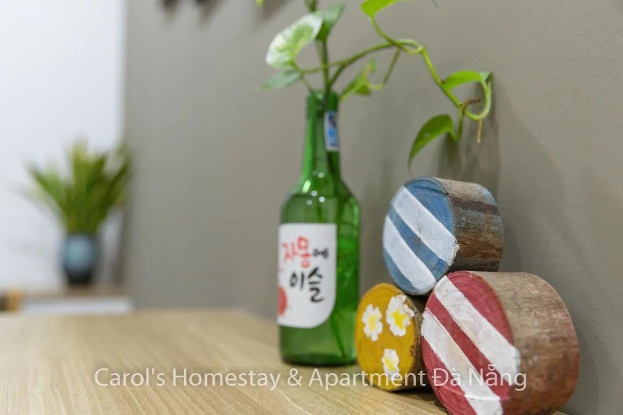 Carol Homestay & Apartment Da Nang 3 0*,  Vietnam
